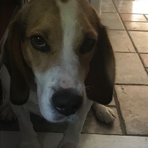 Meet your Posher, Rob